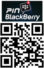 Pin Blackberry