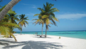 oferta promo viajes